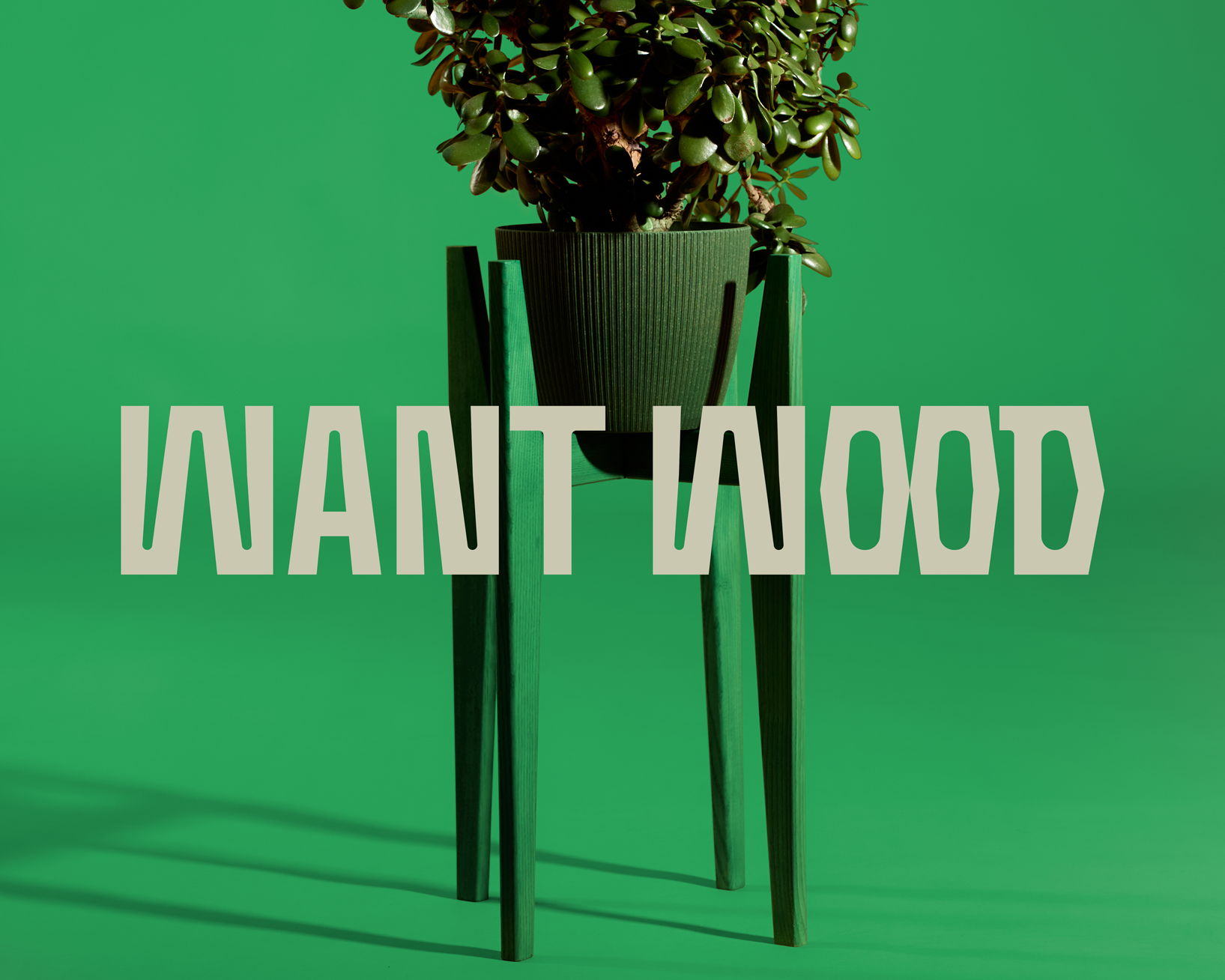 Want Wood